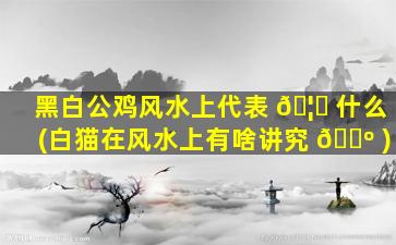 黑白公鸡风水上代表 🦟 什么(白猫在风水上有啥讲究 🐺 )